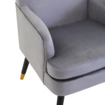 Lagos Velvet Armchair In Grey