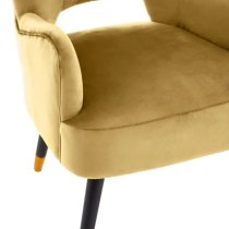 Lagos Velvet Cut Out Back Armchair In Pistachio