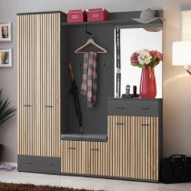 Moena Wooden Hallway Storage Cabinet 2 Doors In Anthracite