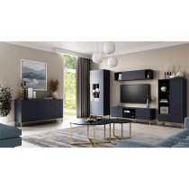 Pavia Wooden TV Stand With 2 Doors In Navy