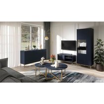 Pavia Wooden TV Stand With 1 Door In Navy