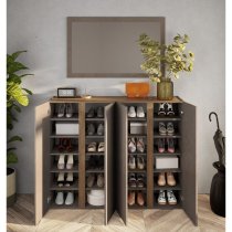 Flint Wooden Shoe Cabinet With Mirror In Bronze And Mercury Oak