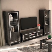 Sarver High Gloss TV Stand With 2 Doors In Black With LED