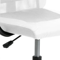 Repton Mesh Fabric Home And Office Chair In White