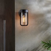 Adel Clear Glass Shade Outdoor Wall Light In Black