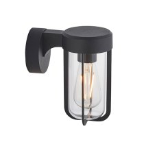 Adel Clear Glass Shade Outdoor Wall Light In Black