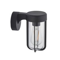 Adel Clear Glass Shade Outdoor Wall Light In Black