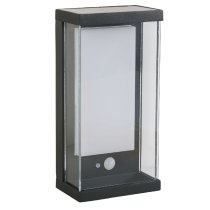 Solar LED White Polycarbonate Outdoor Wall Light In Black