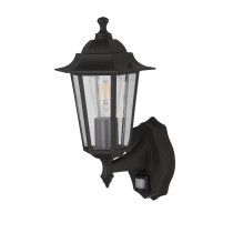 Alex Clear Glass Outdoor Wall Light In Black