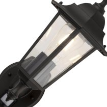 Alex Clear Glass Outdoor Wall Light In Black