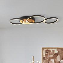 Curio Flush Ceiling Light With Black Metal Frame