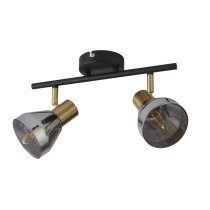 Westminister 2 Light Smoked Glass Spotlight In Black And Brass