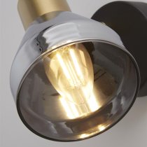 Westminister Smoked Glass Spotlight In Black And Brass