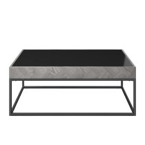 Earlville Black Glass Top Rectangular Coffee Table In Grey