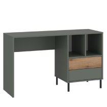 Danville Wooden Laptop Desk With 2 Drawers in Green And Oak