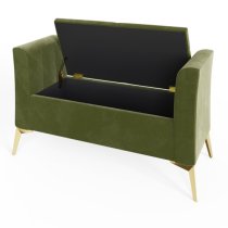 Pulford Velvet Upholstered Ottoman Storage Bench In Green