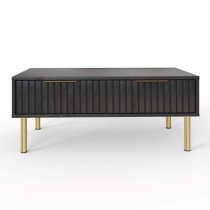 Natick Wooden Coffee Table With 2 Drawers In Black