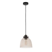 Butte Tinted Glass Shade Ceiling Light In Smoked Grey