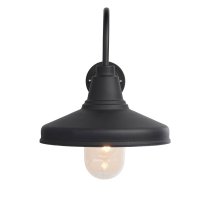 Fraser Clear Glass Shade Outdoor Wall Light In Black