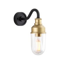 Mayetta Clear Glass Shade Outdoor Wall Light In Black And Gold