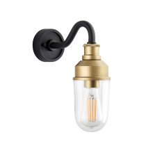 Mayetta Clear Glass Shade Outdoor Wall Light In Black And Gold