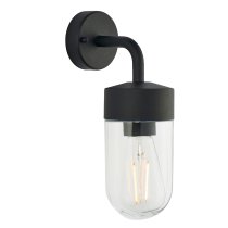 Niceville Clear Glass Outdoor Wall Light In Matt Black