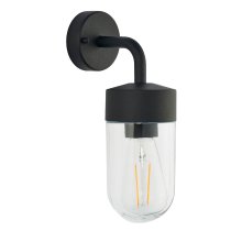 Niceville Clear Glass Outdoor Wall Light In Matt Black