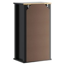 Avenel Wooden Bathroom Wall Cabinet In Black