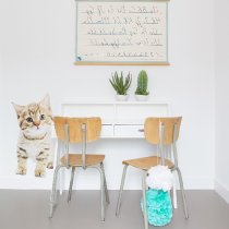 Zanbury Modern Wooden Computer Desk In White