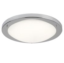 Opal Glass Shape LED Ceiling Lamp in Satin Silver Finish