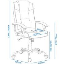 Hoaxing Office Executive Chair In Black Finish