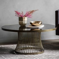 Alexxis Round Contemporary Glass Top Coffee Table In Bronze