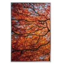 Acrylic Framed Autumn Tree Pictures (Set of Three)