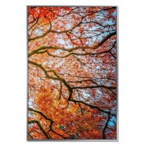 Acrylic Framed Autumn Tree Pictures (Set of Three)