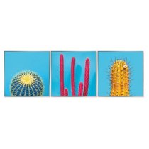 Acrylic Framed Cactus Pictures (Set of Three)