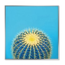 Acrylic Framed Cactus Pictures (Set of Three)