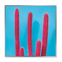 Acrylic Framed Cactus Pictures (Set of Three)