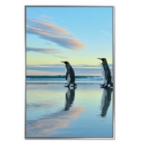 Acrylic Framed Penguin March Pictures (Set of Three)