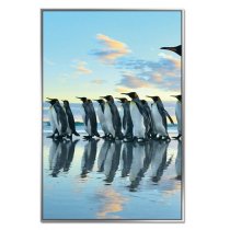 Acrylic Framed Penguin March Pictures (Set of Three)