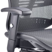 Lydock Mesh Executive Chair In Black With Adjustable Arms