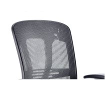 Lydock Mesh Executive Chair In Black With Adjustable Arms