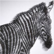 Zebra Picture Glass Wall Art In Silver Wooden Frame