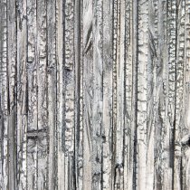 Miracle Painting Wooden Wall Art In Graphite