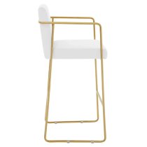 Markeb Mink Velvet Bar Stool With Gold Stainless Steel Frame