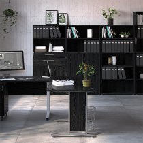 Prax Tall 2 Doors 2 Drawers Office Storage Cabinet In Black