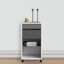 Frosk Mobile Office Pedestal In White And Grey With 2 Drawers