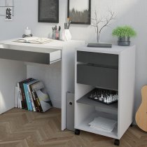 Frosk Mobile Office Pedestal In White And Grey With 2 Drawers