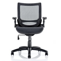 Yakima Mesh Executive Office Chair In Black With Folding Arms