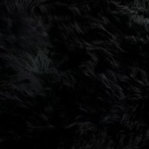 Ladson Sheepskin Rug In Black