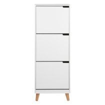 Mulvane Wooden Shoe Storage Cabinet With 3 Flap Doors In White